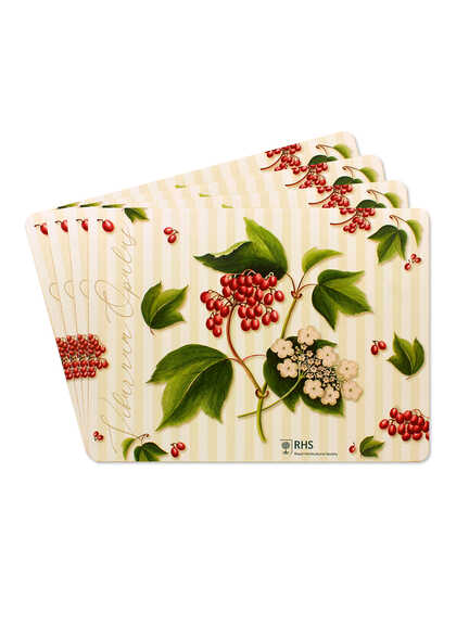 Tischsets 'Winter Berries' im Online-Shop