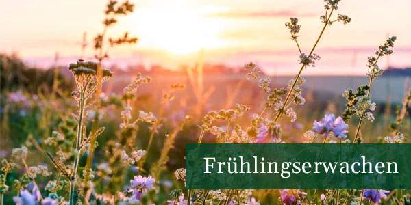 Zum Thema Hallo Frühling!