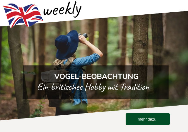 Zum Blog-Artikel