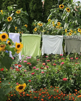 Cottagecore: Die neue Sehnsucht nach dem Landleben